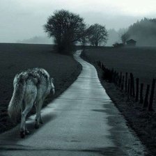 Схема вышивки «волк-одиночество»