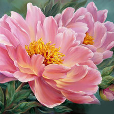 Схема вышивки «Розовый пион»