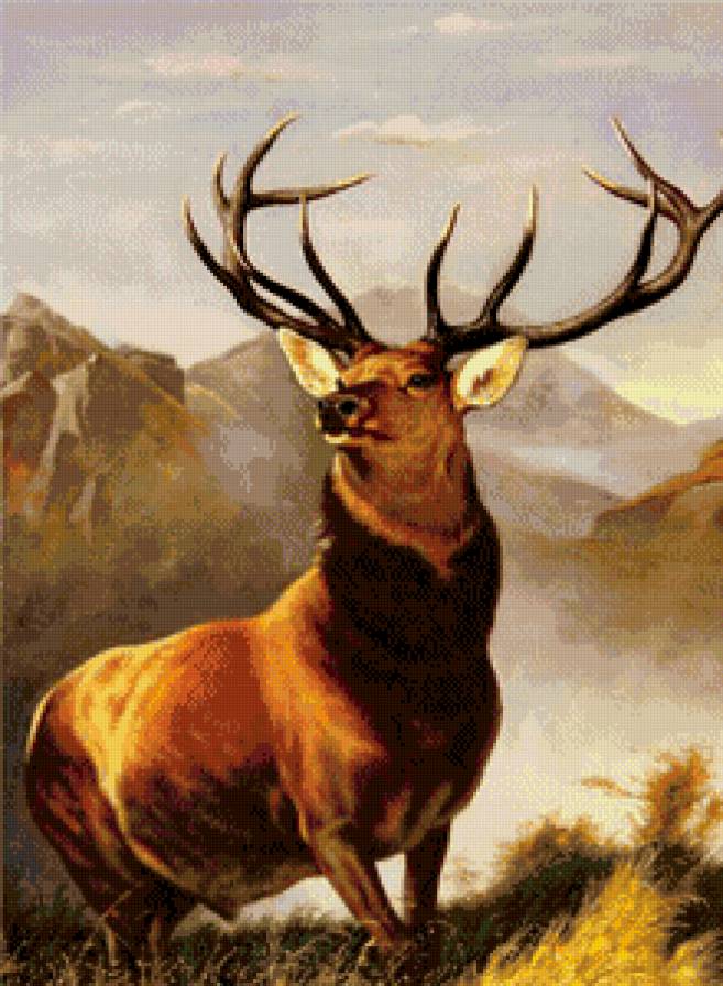 олень - дикие животные - предпросмотр