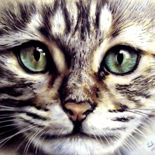 Схема вышивки «Моська котика»