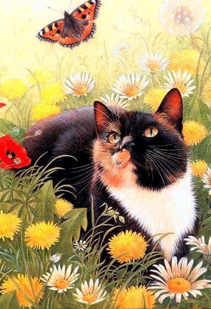 Кошка с бабочкой - цветы, кошка - оригинал