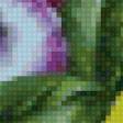 Предпросмотр схемы вышивки «Букет анюток» (№748693)