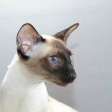 Схема вышивки «№748711»