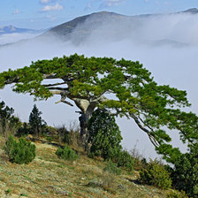 Схема вышивки «№748715»