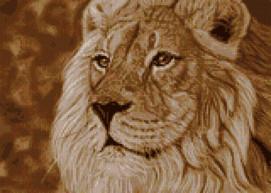 Лев - животное, лев, кошка - предпросмотр