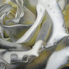 Схема вышивки «Белая роза»