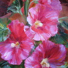 Розовые цветы