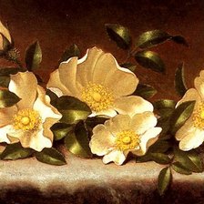 Схема вышивки «Белые цветы»