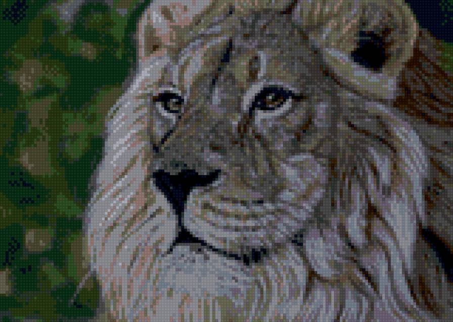 Лев - животное, лев, кошка - предпросмотр