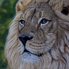 Схема вышивки «Лев»