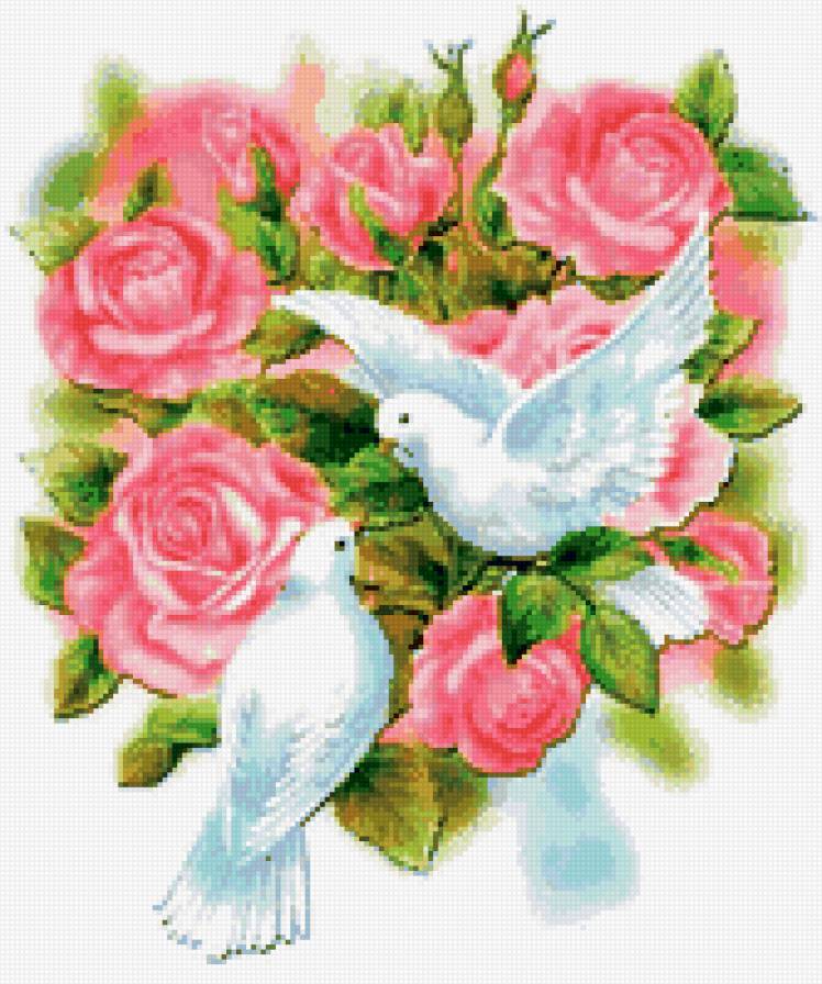 Голуби и розы - предпросмотр