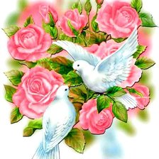 Голуби и розы