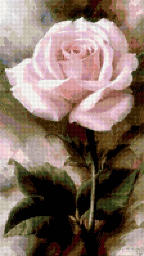 Роза - роза, цветок, розовая - предпросмотр