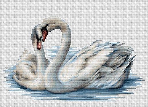 Лебеди - птицы, вода, верность, лебеди - оригинал