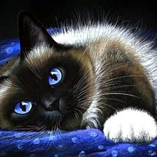 Схема вышивки «Киска»