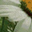 Предпросмотр схемы вышивки «Ромашки 3D» (№749002)