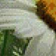 Предпросмотр схемы вышивки «Ромашки 3D» (№749007)