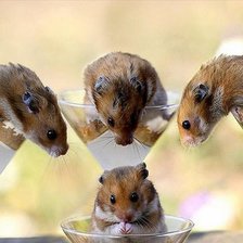 Схема вышивки «№749087»