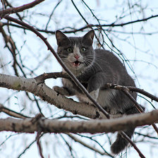Схема вышивки «№749088»