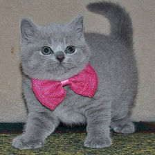 Схема вышивки «№749093»