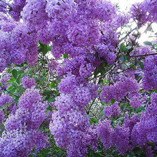 Схема вышивки «№749094»