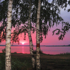 Схема вышивки «№749095»