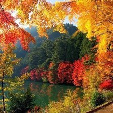 Схема вышивки «осень золотая»