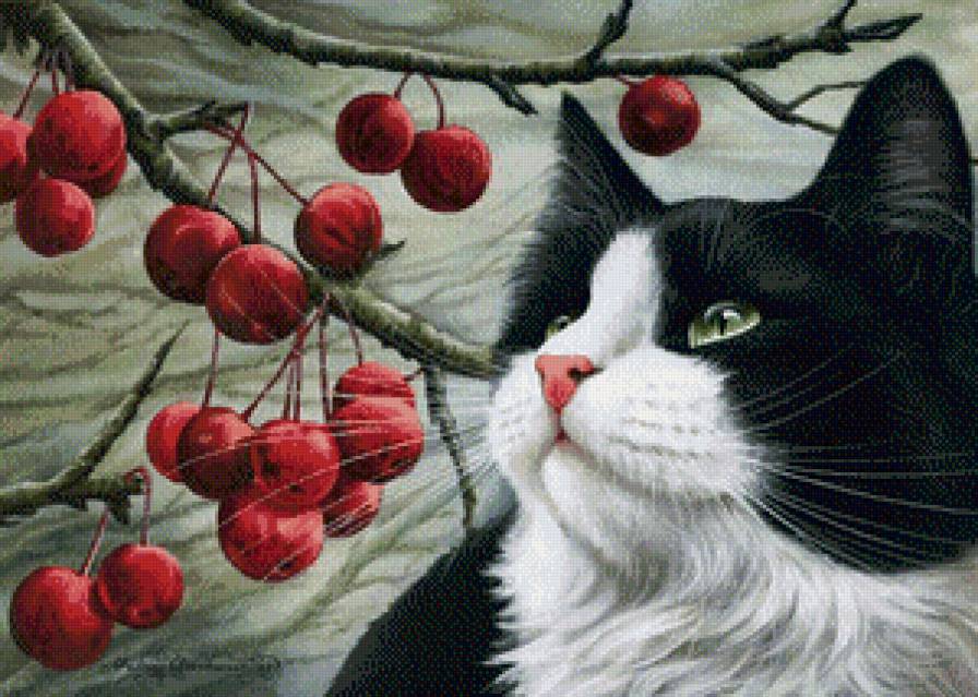 кися - предпросмотр