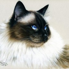 Схема вышивки «3»