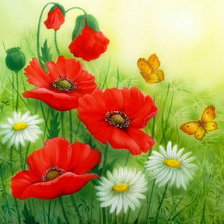 Схема вышивки «мак3»