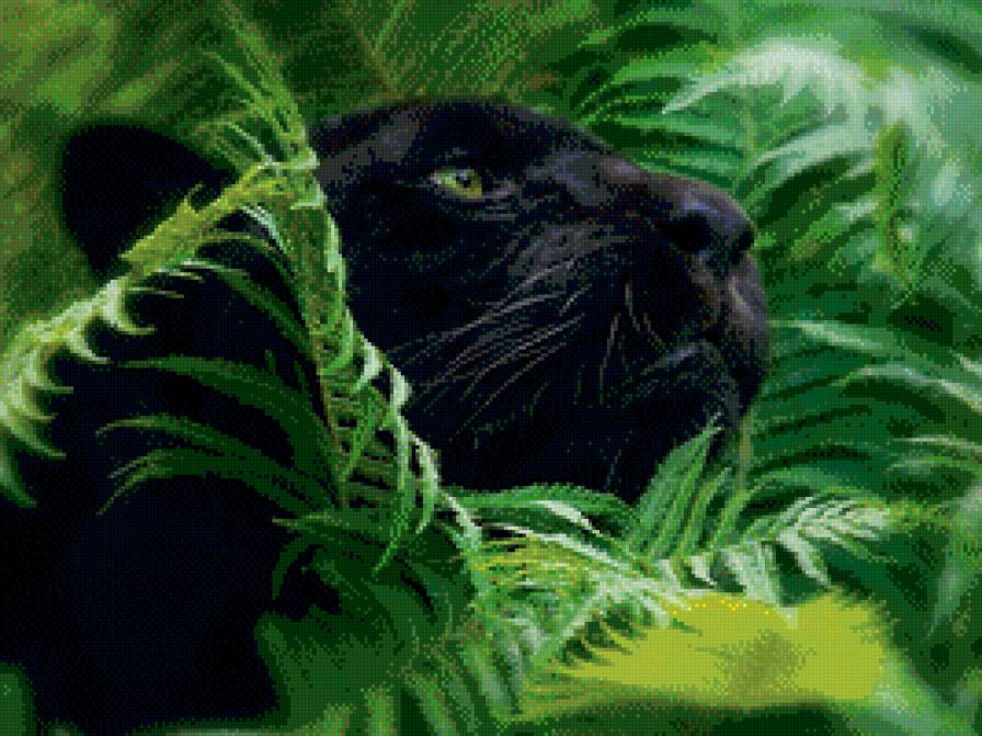 Пантера в папоротниках - дикие кошки - предпросмотр