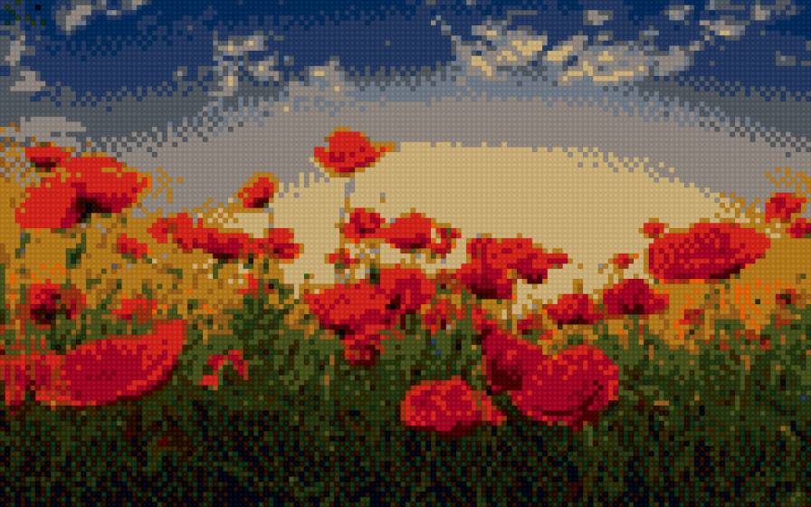 Маки - маки, цветы, закат - предпросмотр