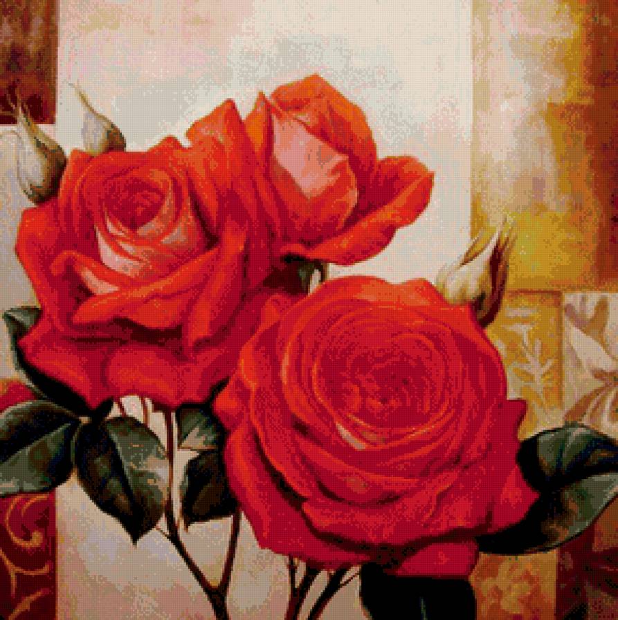 розы - цветы - предпросмотр