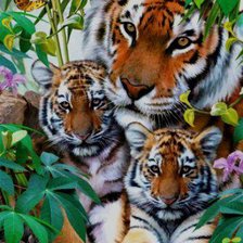 Схема вышивки «семейство»