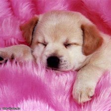 Схема вышивки «Сладкий сон)))»