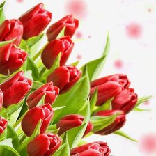 Схема вышивки «Тюльпаны»