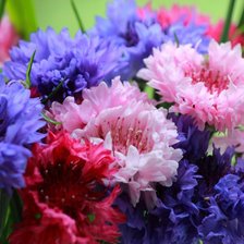 Схема вышивки «Незабудки1»