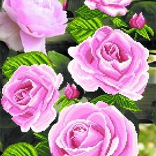 Схема вышивки «Розы»