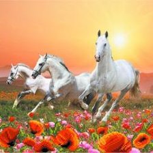 Схема вышивки «Лошади»