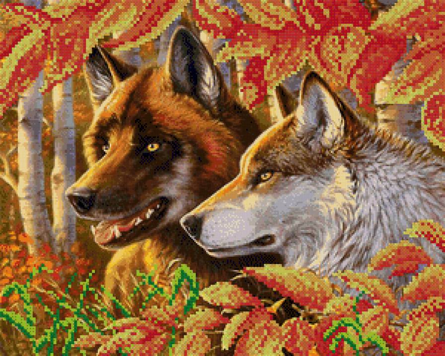Волки - волки, природа, пейзаж, лес, животные - предпросмотр