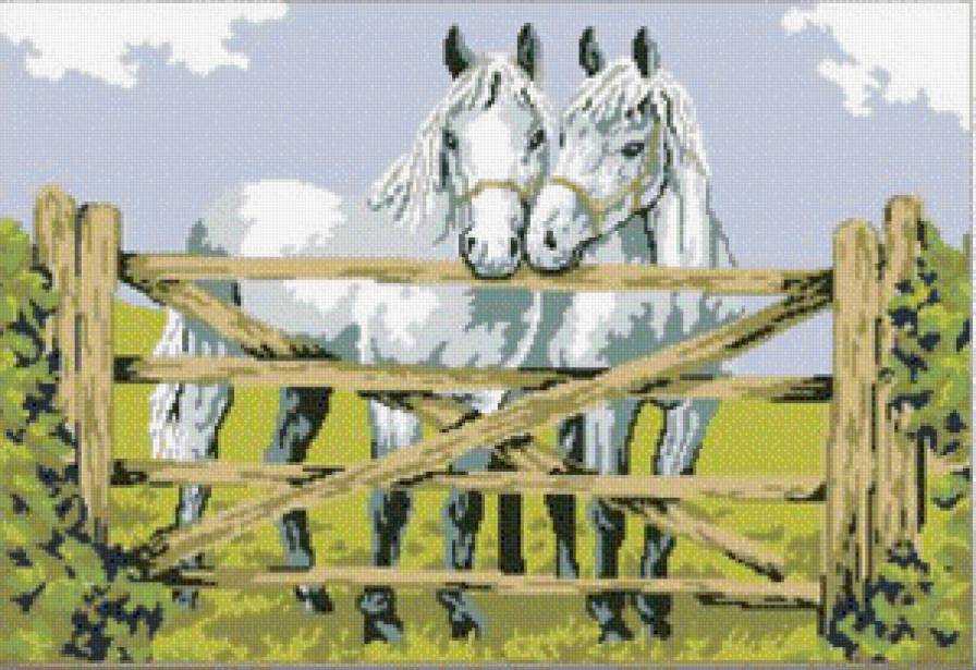 Лошади - кони, лошади, животные - предпросмотр