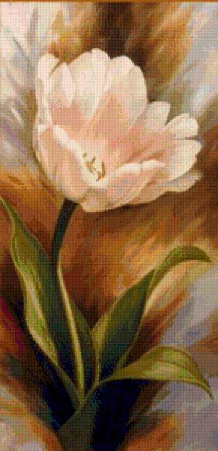 Тюльпан - цветы, тюльпан - предпросмотр