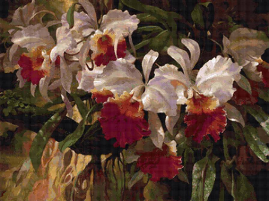 ирисы - цветы - предпросмотр