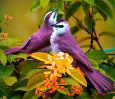 Схема вышивки «№749573»