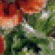 Предпросмотр схемы вышивки «маки» (№749689)