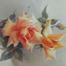 чайные розы