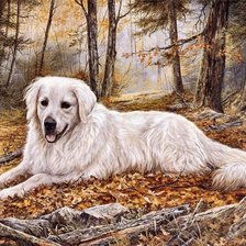 Схема вышивки «№749848»