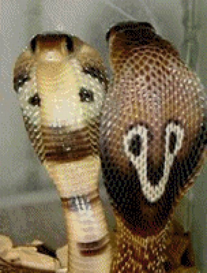 змея - змеи - предпросмотр