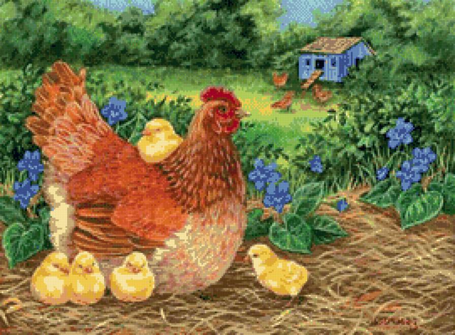 курочка - птица, цыплята, цыпленок, курица, птицы, хозяйство - предпросмотр