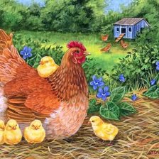 Схема вышивки «курочка»